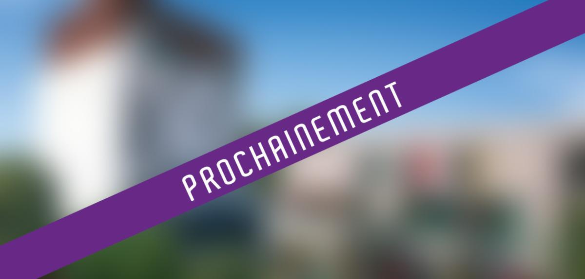 Villas neuves Quartier Grand Selve Toulouse