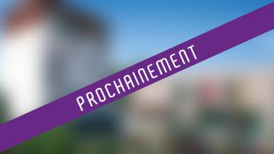 Villas neuves Quartier Grand Selve Toulouse