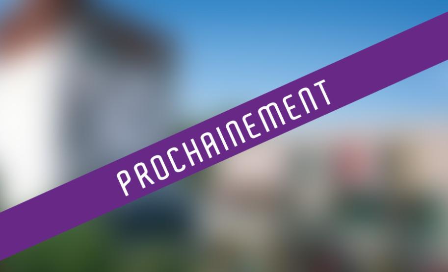 Villas neuves Quartier Grand Selve Toulouse