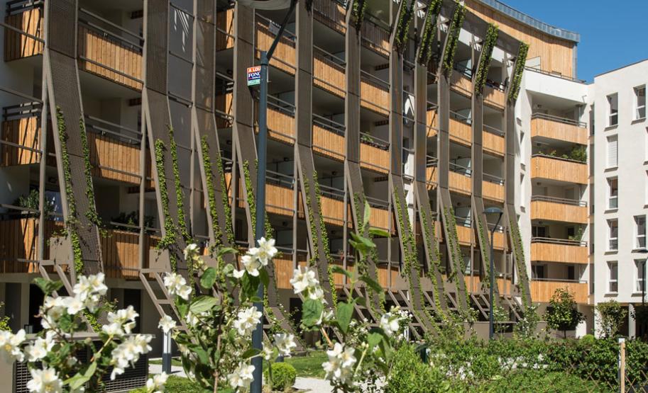 les-terrasses-de-jasmin